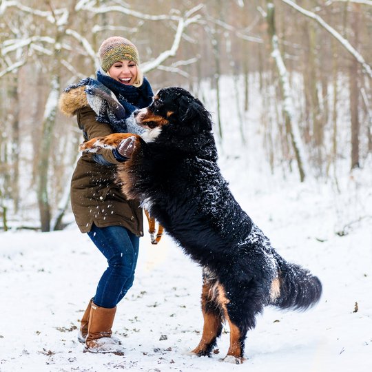Hundebesitzerin spielt mit Hund im Schnee