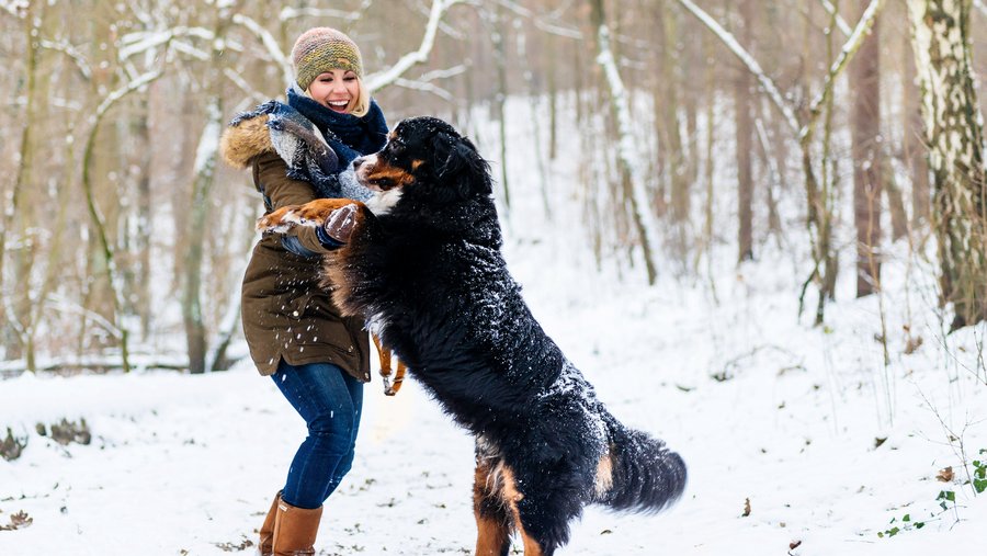 Hundebesitzerin spielt mit Hund im Schnee