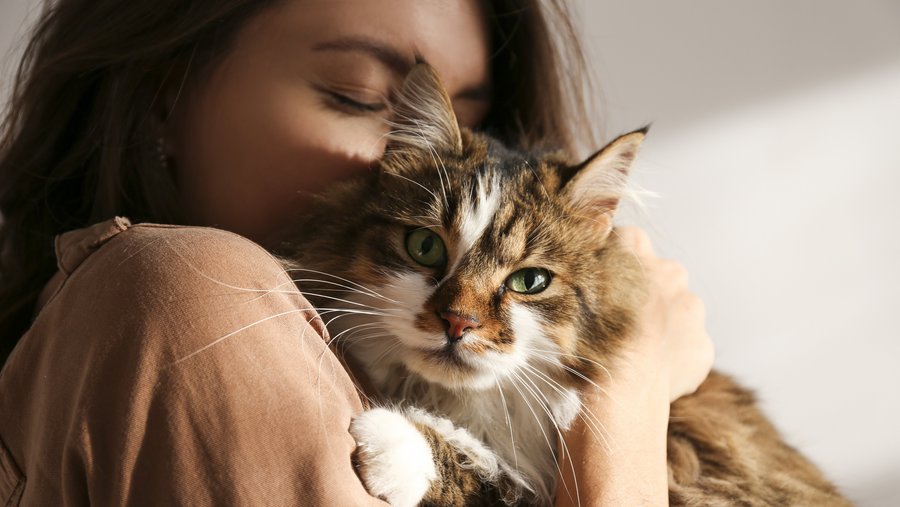 Frau hält ihre Katze im Arm und kuschelt mit ihr