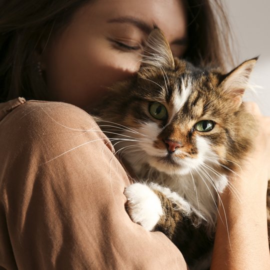 Frau hält ihre Katze im Arm und kuschelt mit ihr