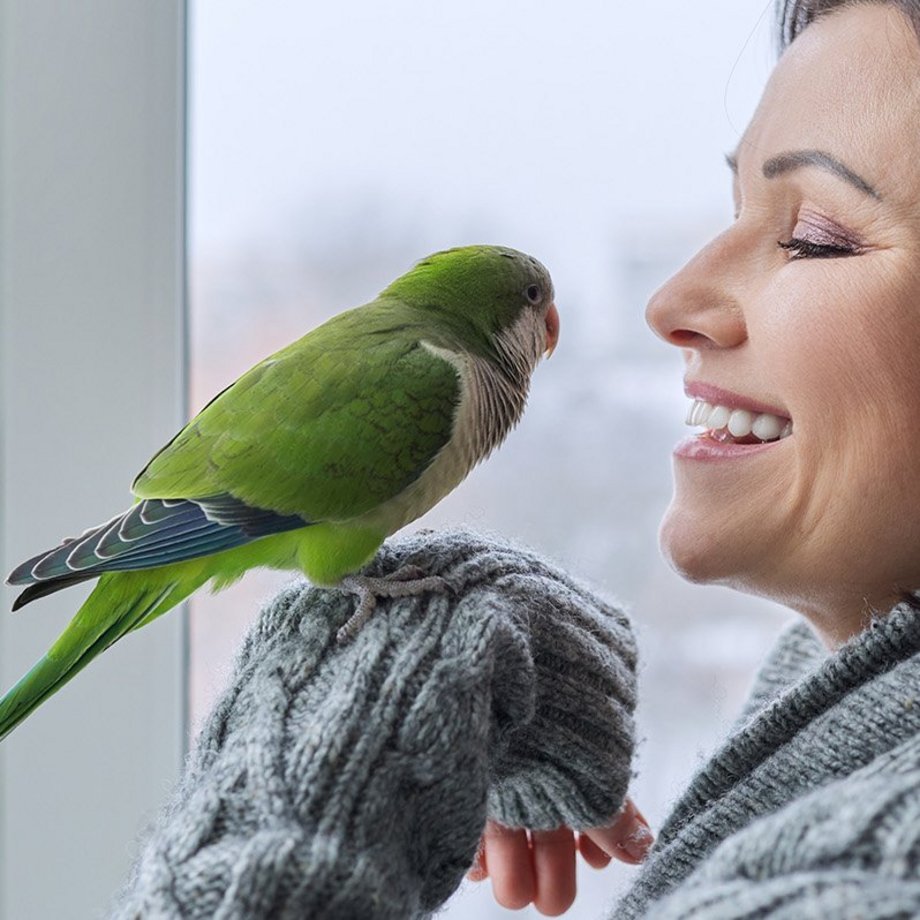 Dunkelhaarige Frau mit grünem Papagei auf dem Arm.