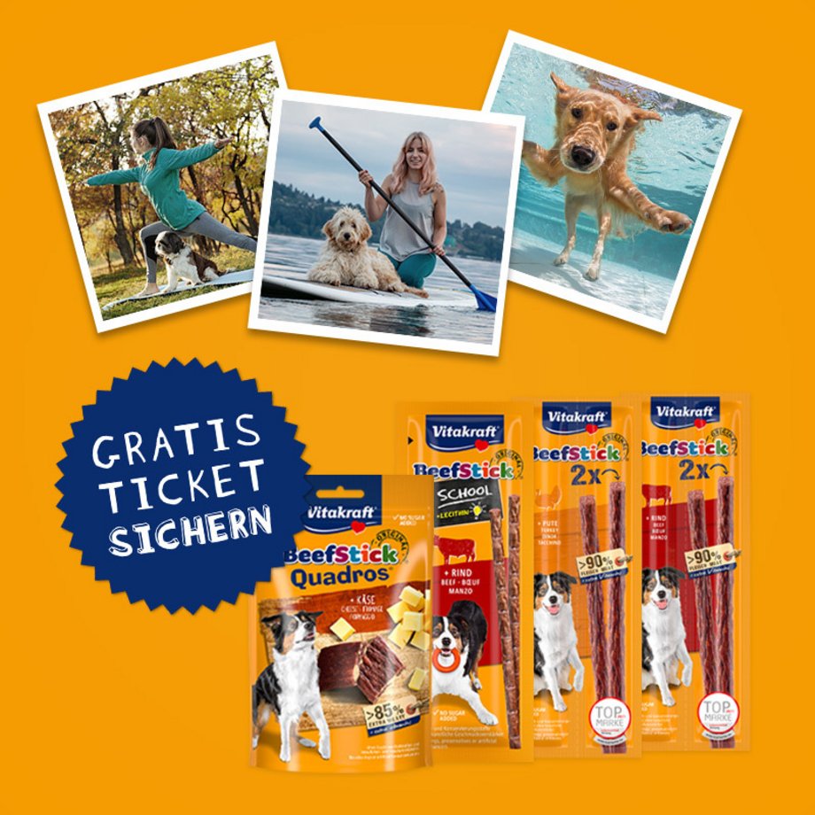 3 Abbildungen mit Freizeitaktivitäten mit Hund sowie Packshots von Vitakraft Hundesnacks