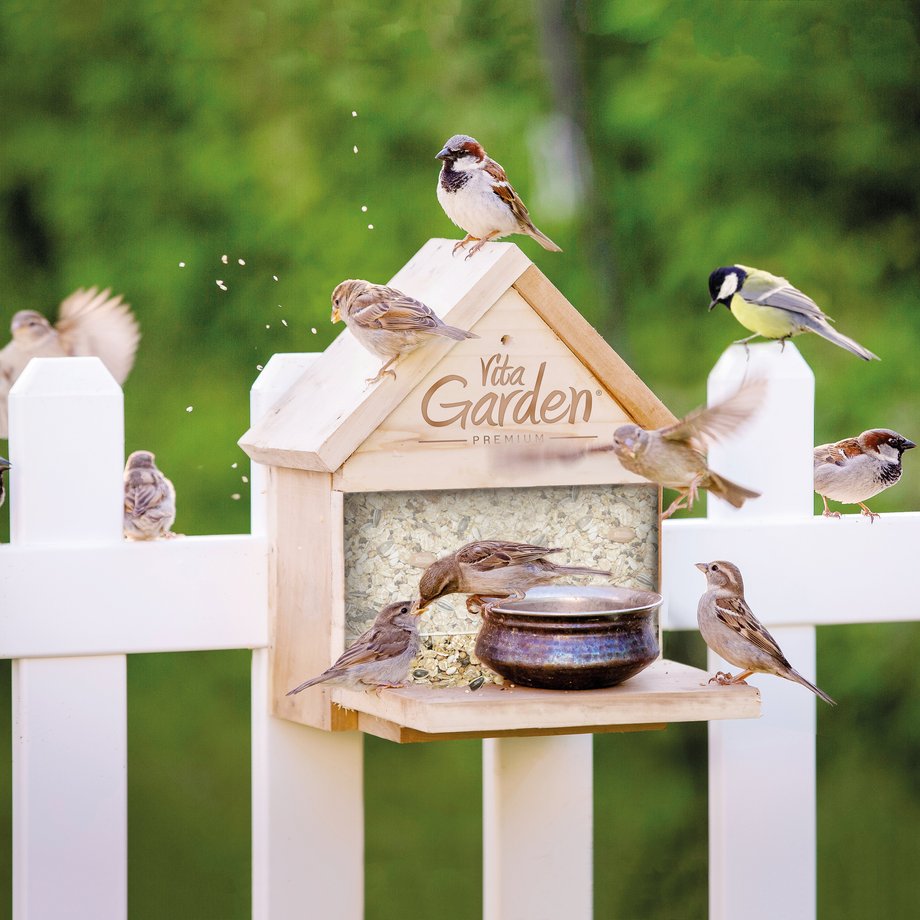 Spatzen und Kohlmeise vor dem Vita Garden Futterhäusen am Gartenzaun