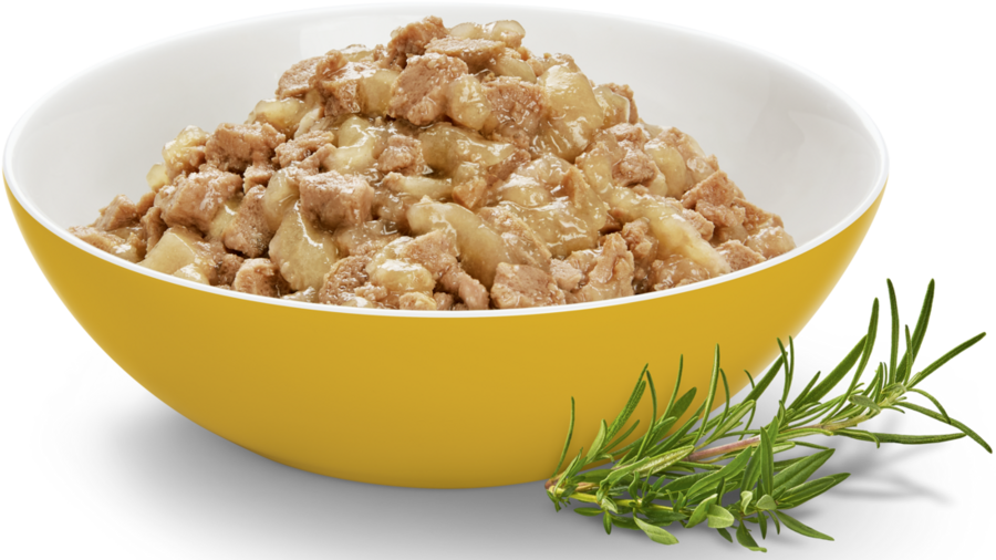 Eine gelbe Schale mit Katzenfutter