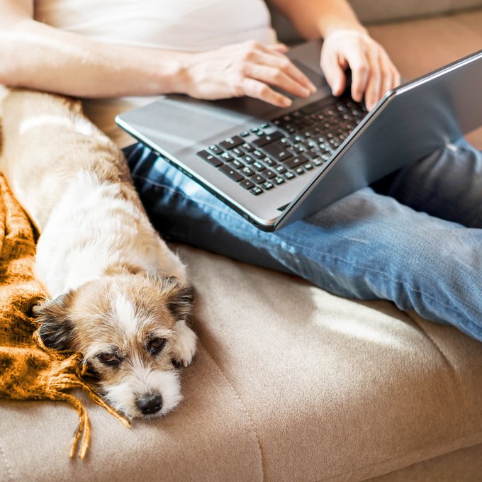 Hund mit Herrchen auf dem Sofa, Laptop auf den Beinen