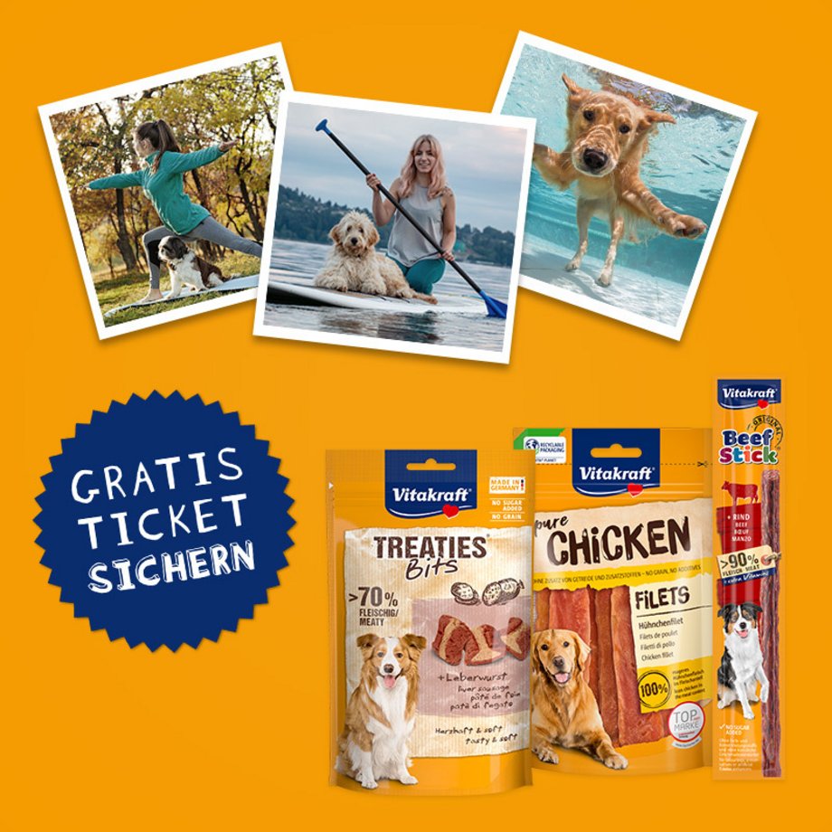 3 Abbildungen mit Freizeitaktivitäten mit Hund sowie Packshots von Vitakraft Hundesnacks