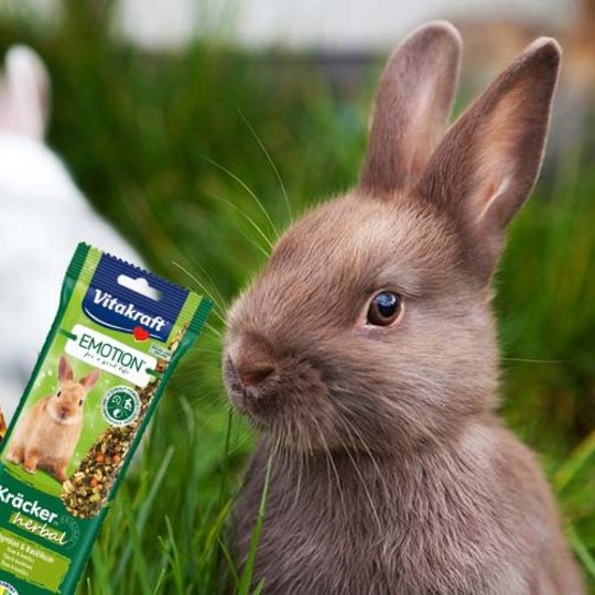 Groene konijnen en Vitakraft crackers