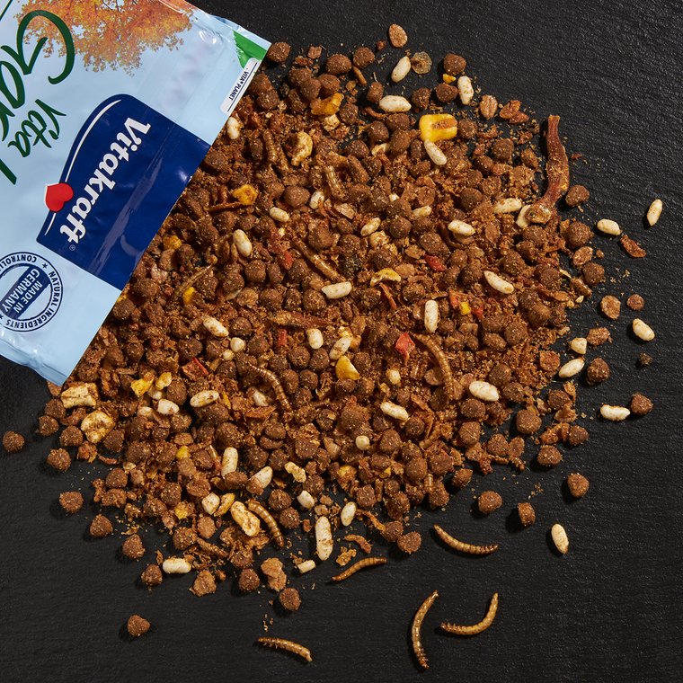 36+ Moderne Garten Keine Nahrung Für Tiere Insekten, Der schutz der