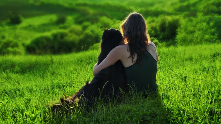 Vrouw met hond in haar armen zit op een groene weide en kijkt in de verte