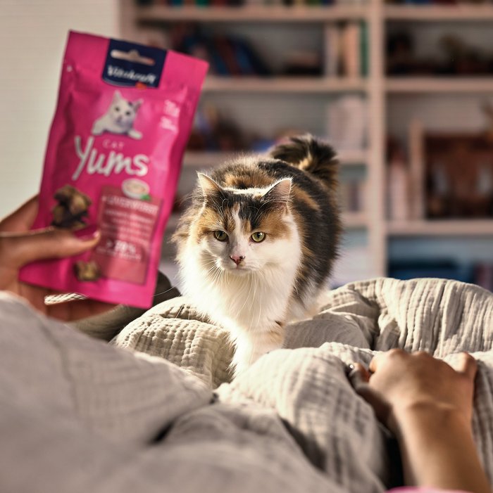 Keyvisual Vitakraft Produkt Cat Yums für Katzen