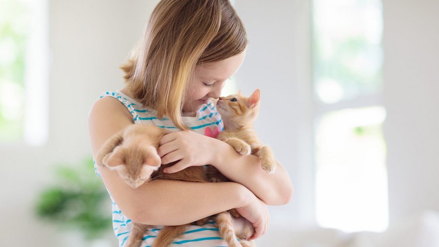 Klein meisje heeft twee katten in haar armen