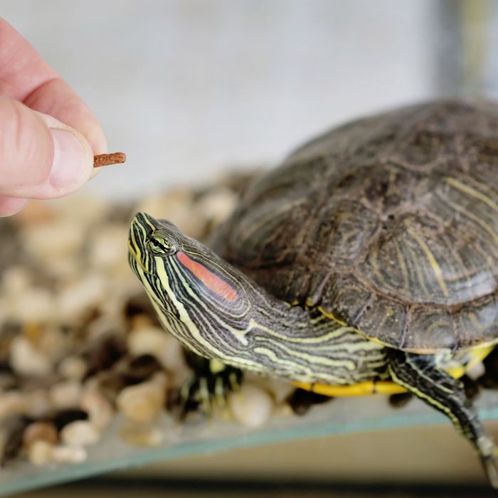 Reptilien Futtermischungen