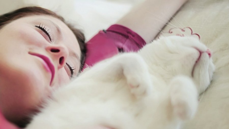 Frau in pink Pullover und eine weiße Katze liegen und schlafen
