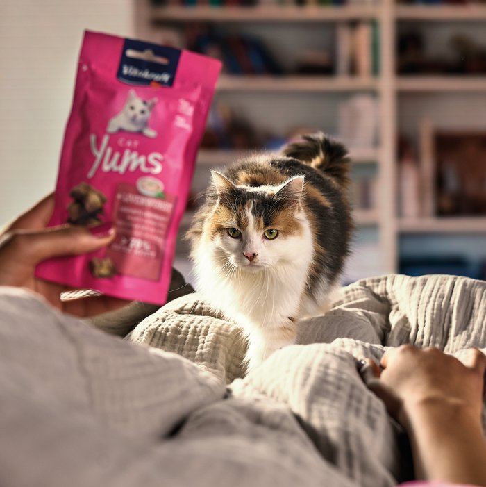 Keyvisual Vitakraft Produkt Cat Yums für Katzen