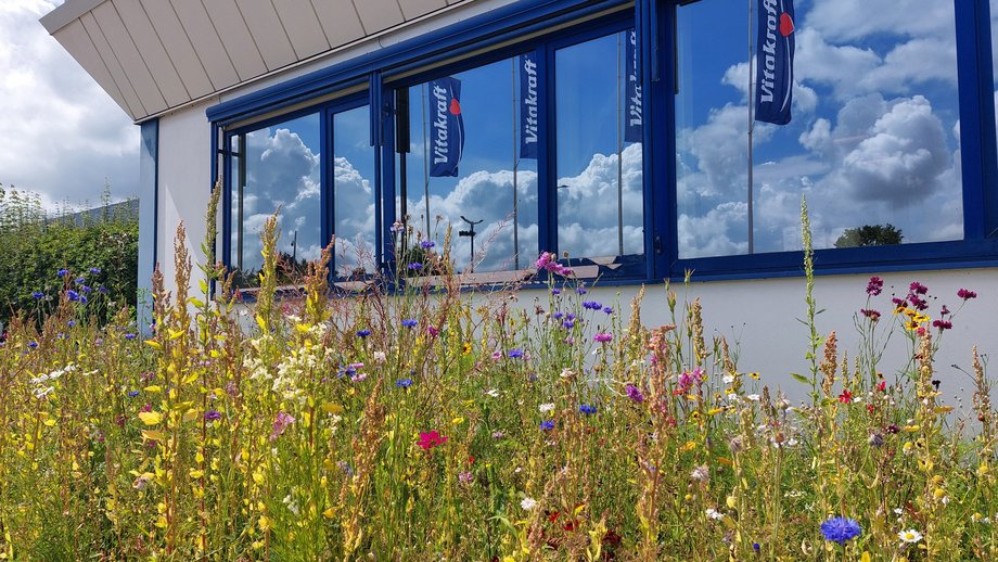 Vitakraft Campus Wildblumen Wiese