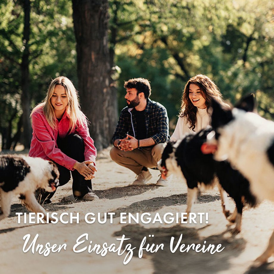 Hunde und Besitzer:innen im Park mit dem Claim: Tierisch gut engagiert! Unser Einsatz für Vereine