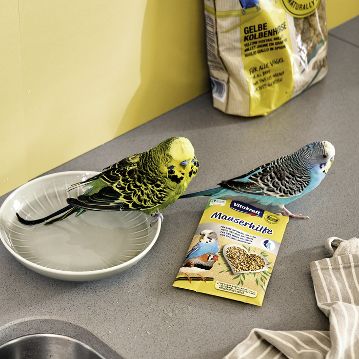 Vogel Perlen Snacks