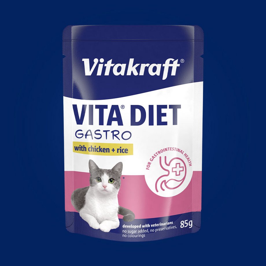 Packshot Vita Diet Gastro auf blauem Hintergrund