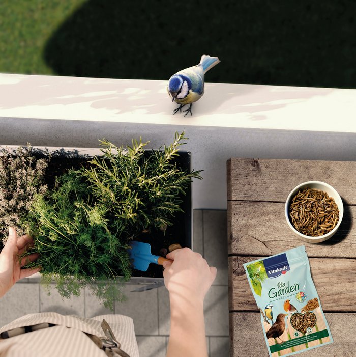 Keyvisual Vitakraft Produkt Vita Garden Mehlwürmer für Gartenvögel