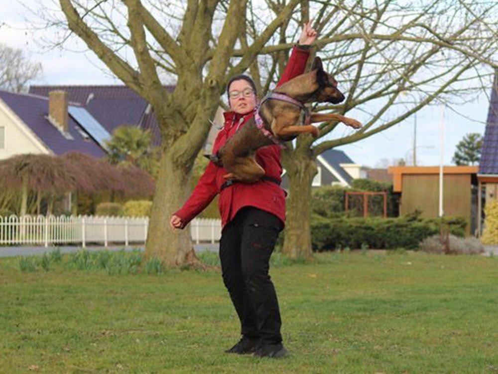 vk_nl_events_demo-workshop-dutch-trick-dogs.jpg