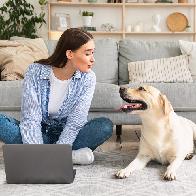 Eine Frau und ein heller Labrador sitzen auf einem Teppich mit Laptop vor einem Sofa