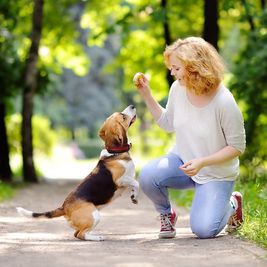 Eine Frau in der Hocke spielt mit Hund