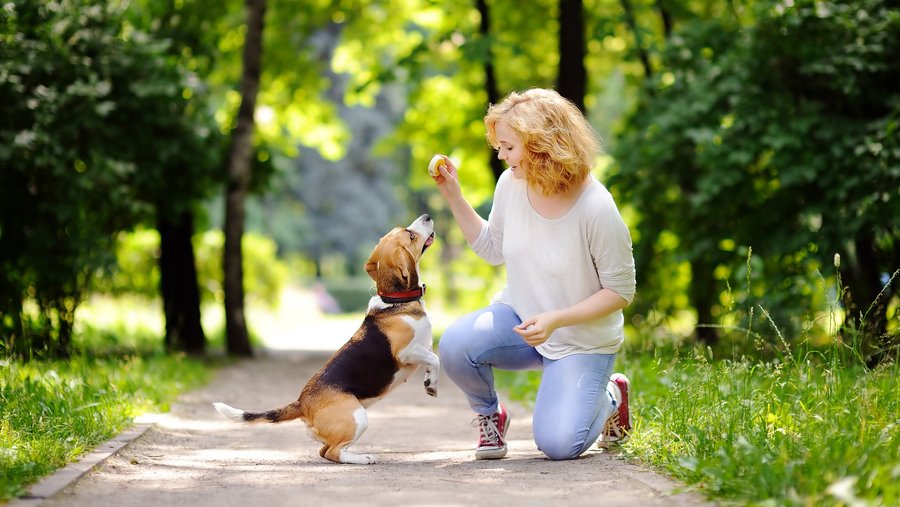 Eine Frau in der Hocke spielt mit Hund