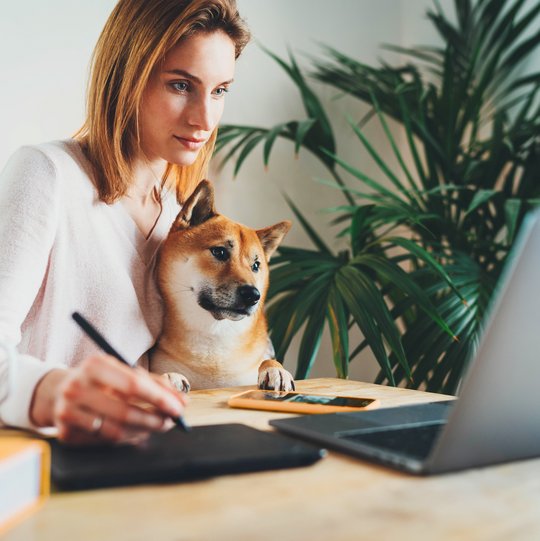 Hundebesitzern sitzt mit ihrem Hund auf dem Schoss am Schreibtisch vor ihrem Laptop