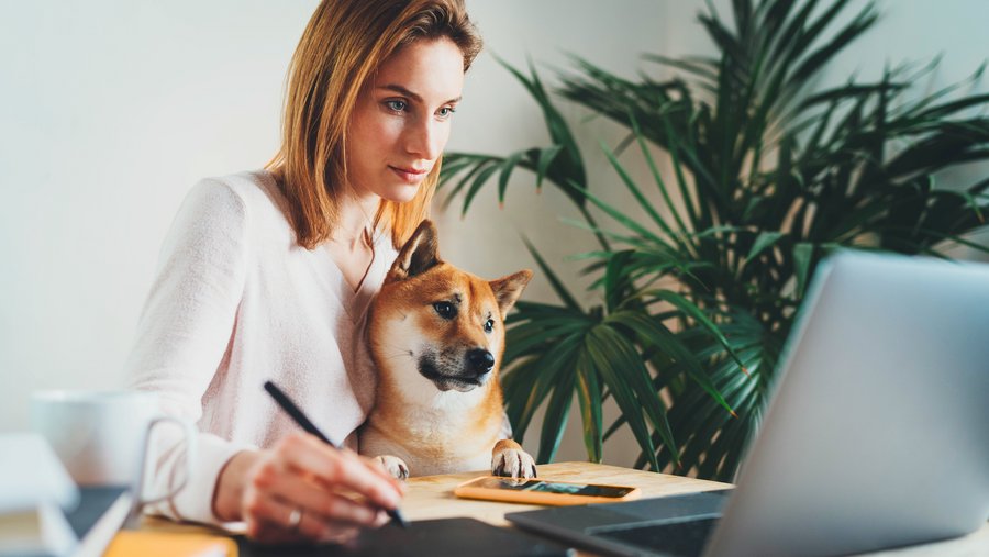 Hundebesitzern sitzt mit ihrem Hund auf dem Schoss am Schreibtisch vor ihrem Laptop