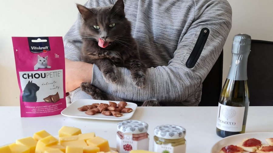 Zwarte kat op de arm van een man zittend aan de keukentafel met Vitakraft snacks