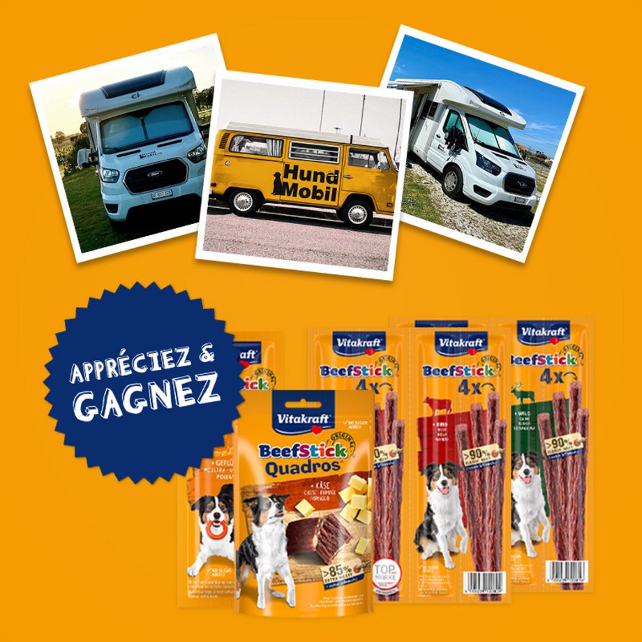 3 Abbildungen von Wohnmobilen sowie Packshots von Hundesnacks