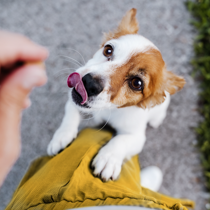 Hund Meat Snacks 