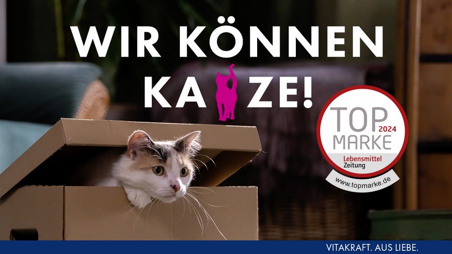 Katze schaut aus Karton, oben der Slogan "Wir können Katze" - Topmarke