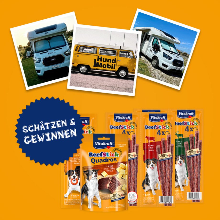 3 Abbildungen von Wohnmobilen sowie Packshots von Hundesnacks