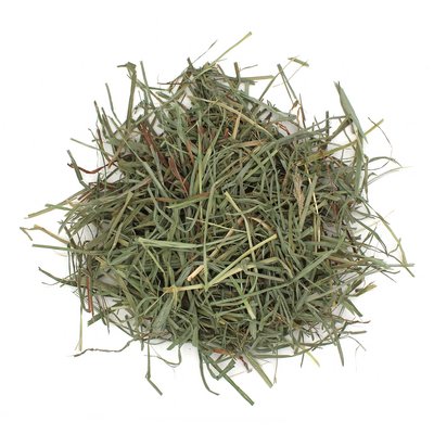 Orchard Grass