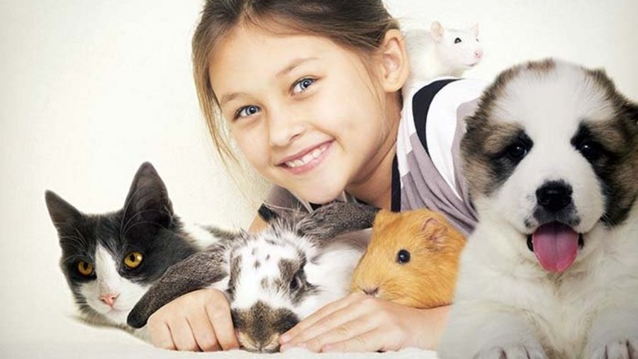 een jong meisje met een kat, een konijn, een cavia en een hond