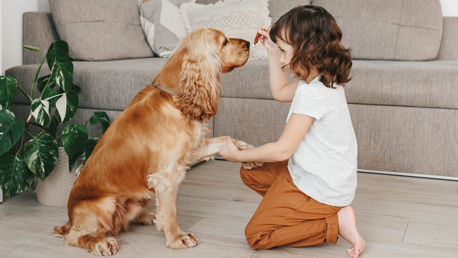 Hond geeft kind een poot en kijkt naar een traktatie in haar hand