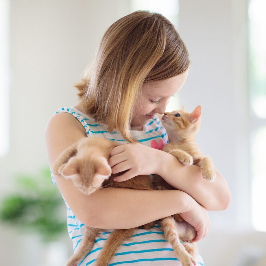 Klein meisje heeft twee katten in haar armen