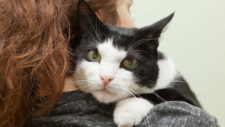 black-white cat on the shoulder of a woman