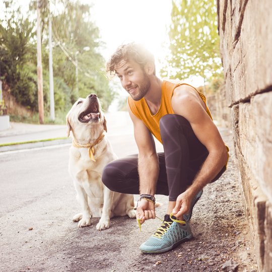 Heller Labrador mit Jogger, der sich gerade den Schnürsenkel bindet