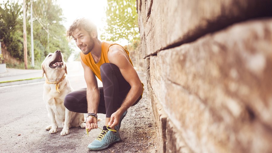 Heller Labrador mit Jogger, der sich gerade den Schnürsenkel bindet