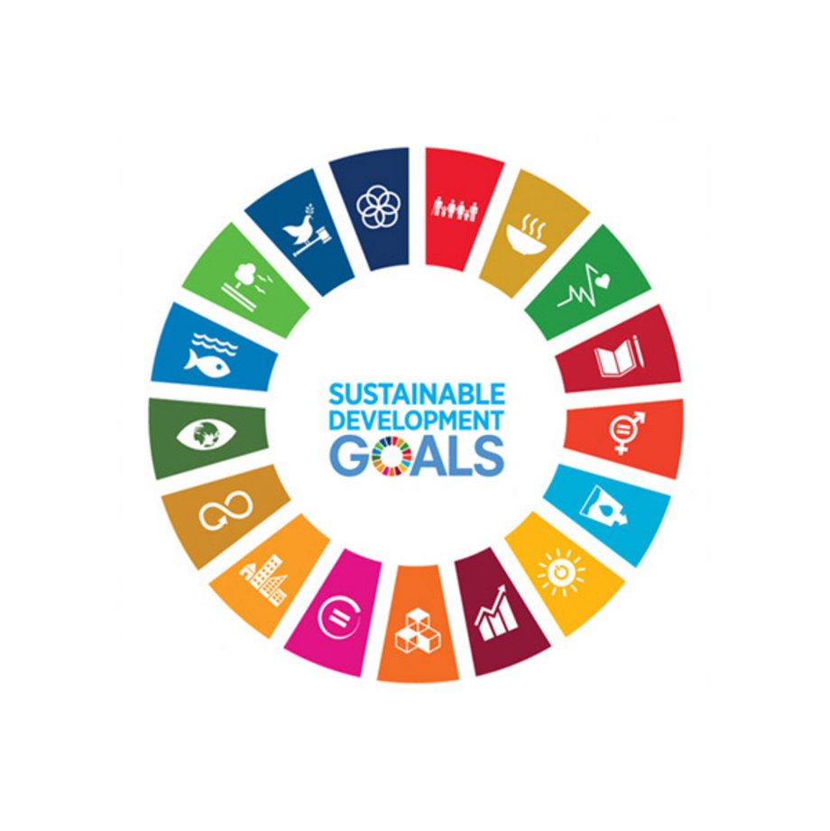 Sustainable Development Goals