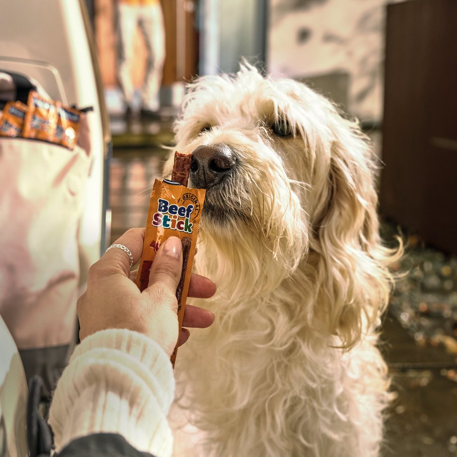 Hund riecht am Vitakraft Beef Stick