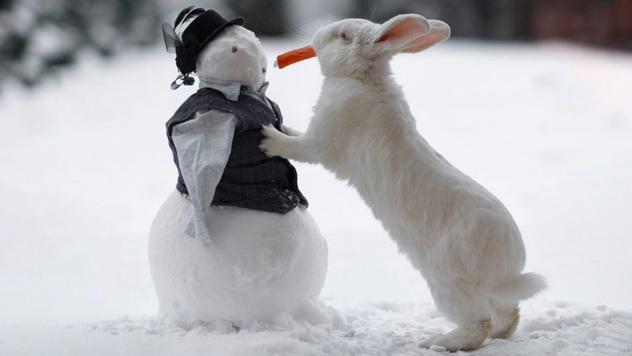 Wit konijn met een wortel in zijn bek en een kleine sneeuwpop in een besneeuwd landschap