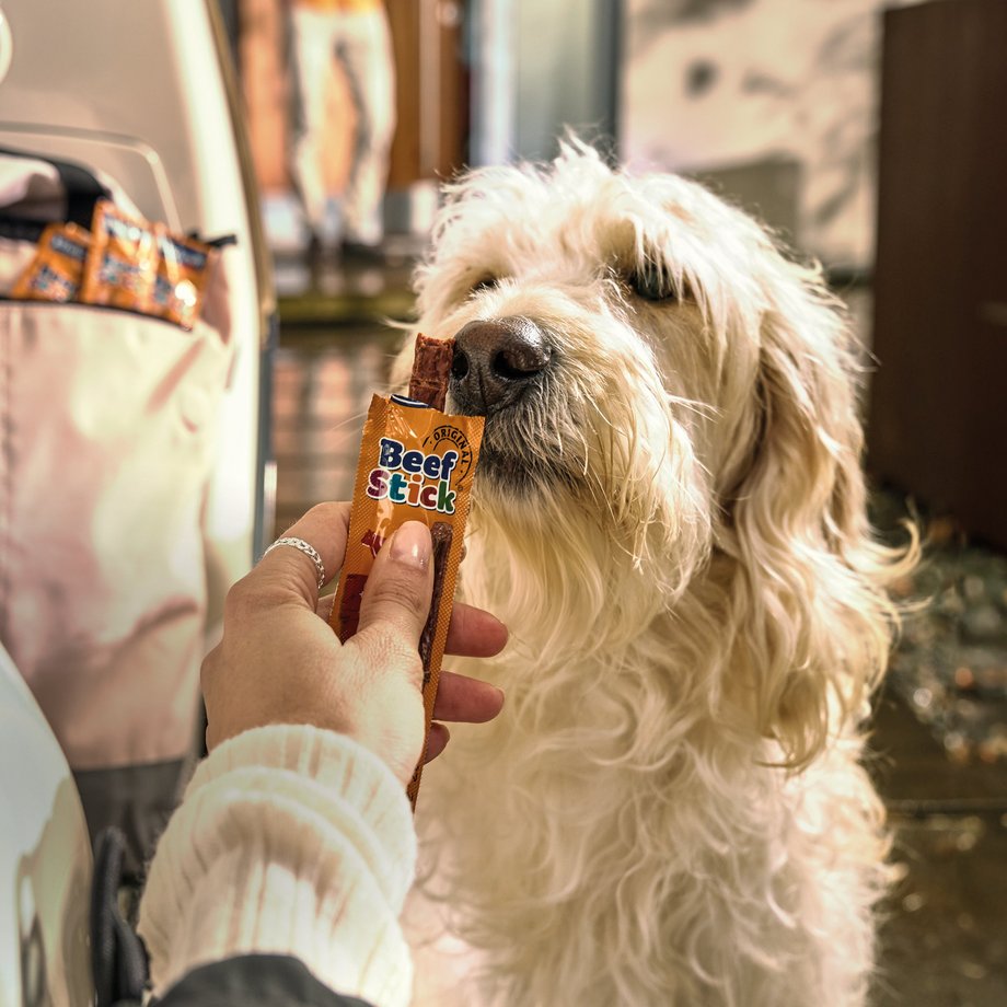 Keyvisual Vitakraft Produkt Beef Stick f&uuml;r Hunde