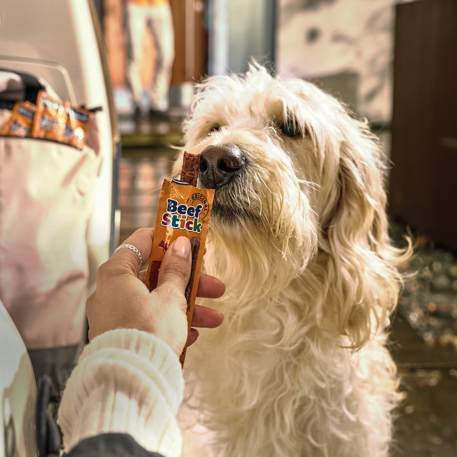Keyvisual Vitakraft Produkt Beef Stick f&uuml;r Hunde