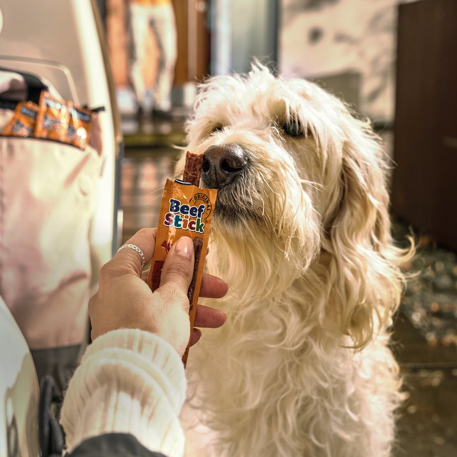 Keyvisual Vitakraft Produkt Beef Stick für Hunde