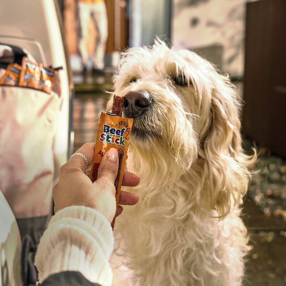 Keyvisual Vitakraft Produkt Beef Stick für Hunde