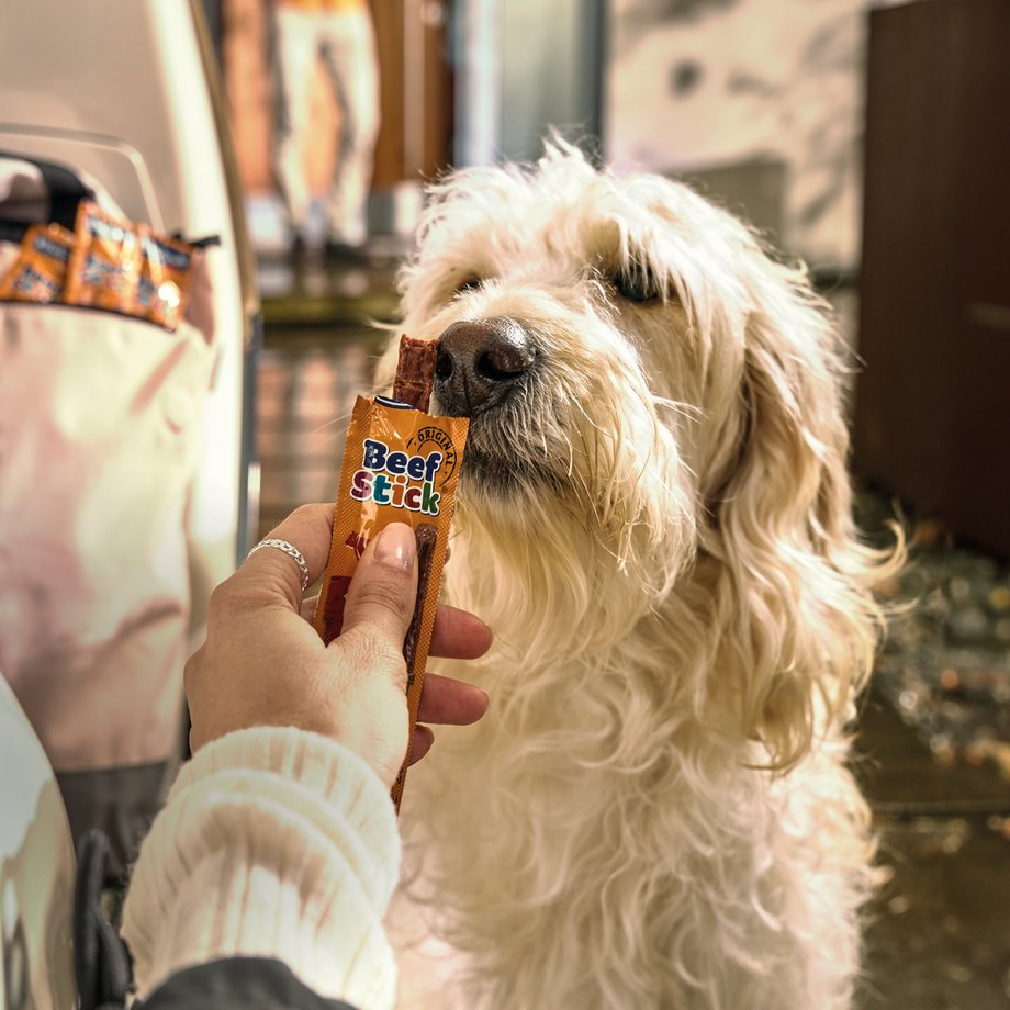Keyvisual Vitakraft Produkt Beef Stick f&uuml;r Hunde