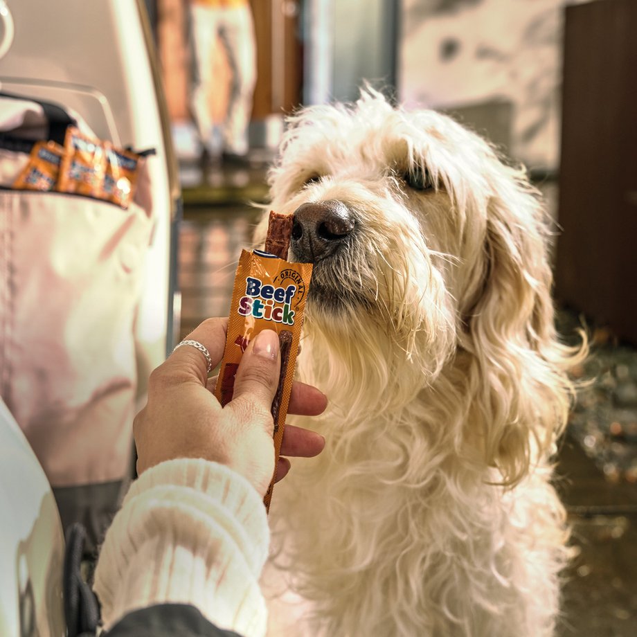 Keyvisual Vitakraft Produkt Beef Stick für Hunde